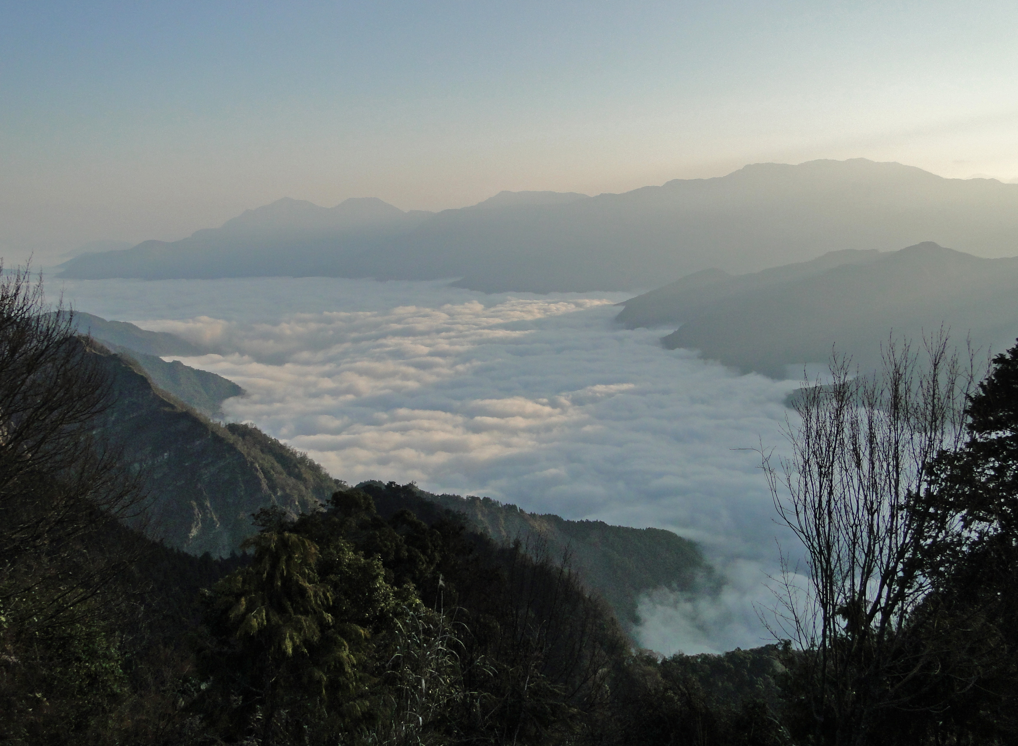 阿里山祝山所見雲海（Bernard Gagnon，CC BY-SA 3.0）